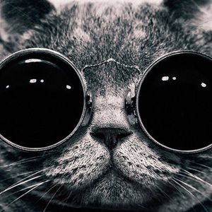 Meet your Posher, Gia